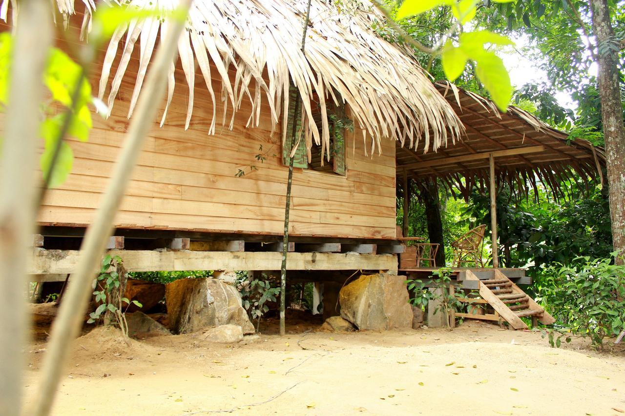 Bedda Eco Cottages 代尼耶耶 外观 照片