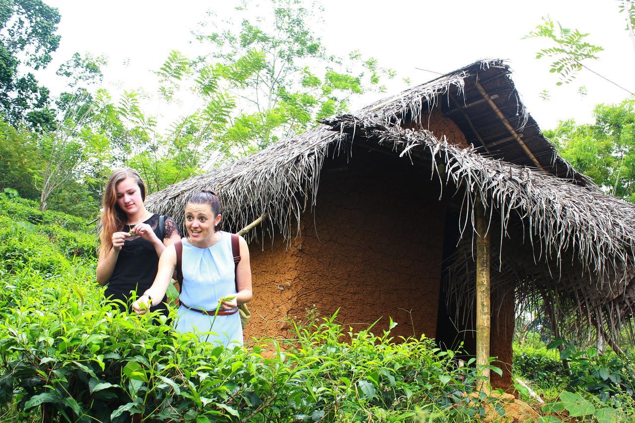 Bedda Eco Cottages 代尼耶耶 外观 照片