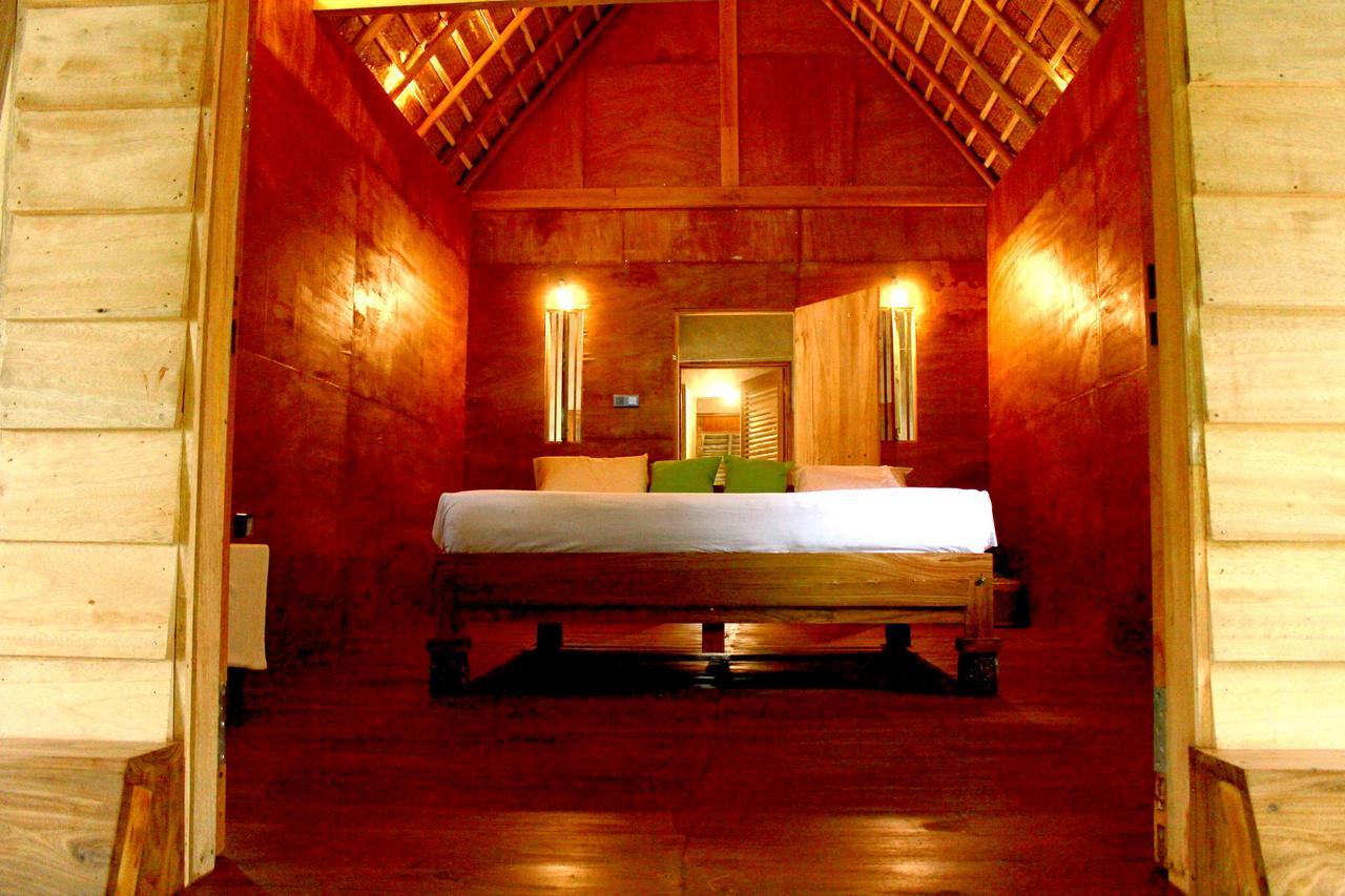 Bedda Eco Cottages 代尼耶耶 外观 照片