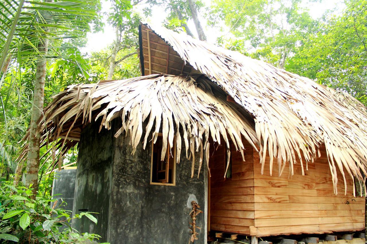 Bedda Eco Cottages 代尼耶耶 外观 照片