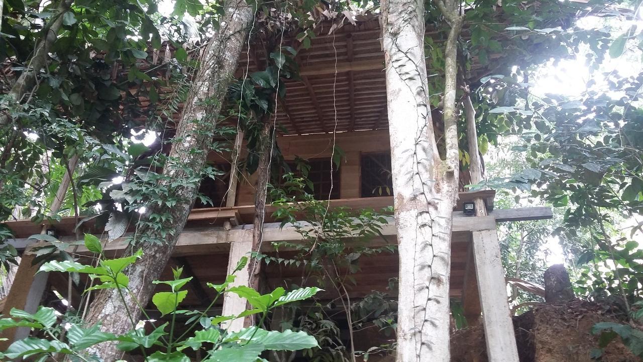 Bedda Eco Cottages 代尼耶耶 外观 照片