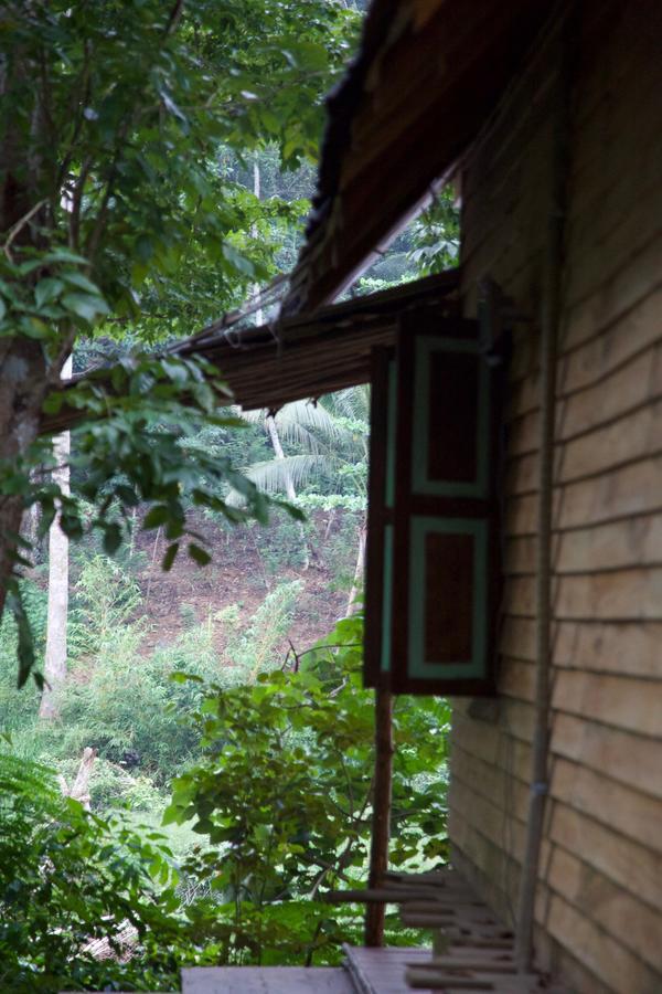 Bedda Eco Cottages 代尼耶耶 外观 照片