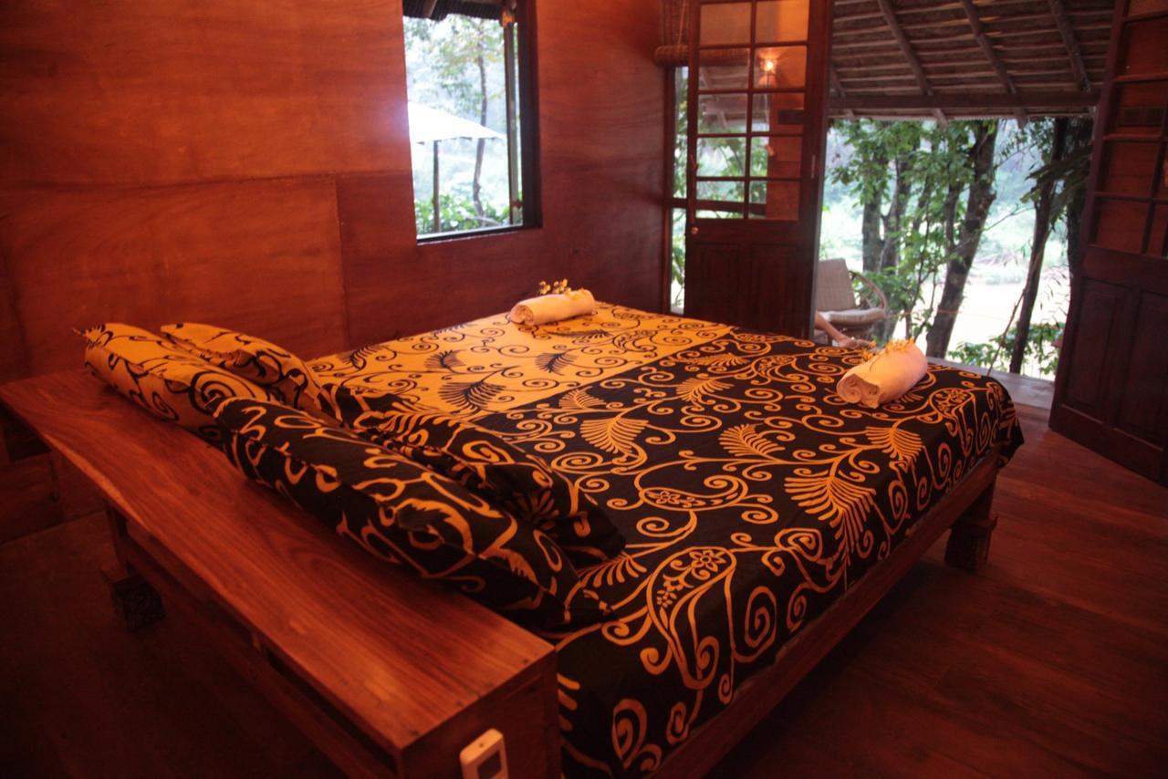 Bedda Eco Cottages 代尼耶耶 外观 照片