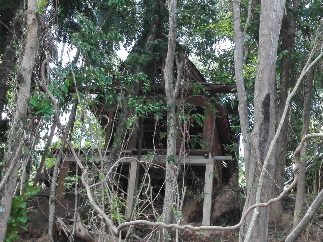 Bedda Eco Cottages 代尼耶耶 外观 照片